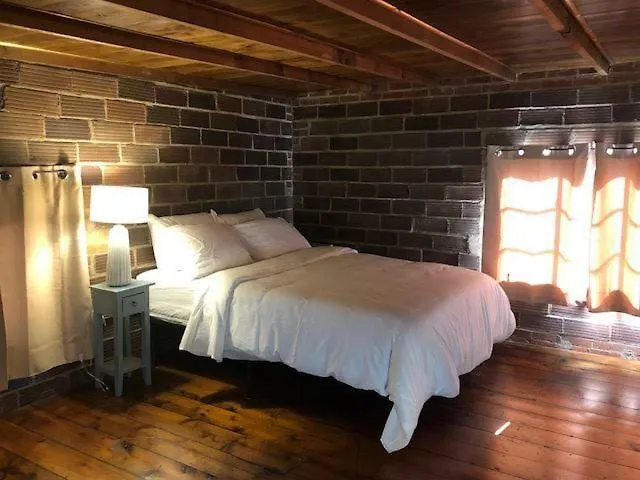 The Nelson 4*